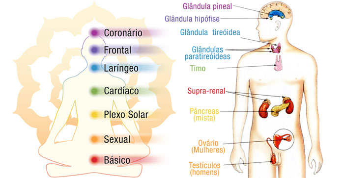 yoga-glandulas-saude-chacras-chakras-corpo etérico